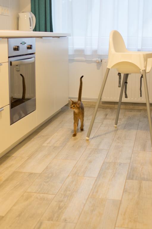 Snow Apartment Druskininkai Ngoại thất bức ảnh