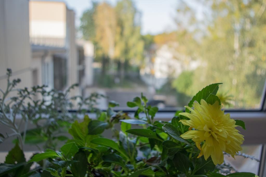 Snow Apartment Druskininkai Ngoại thất bức ảnh