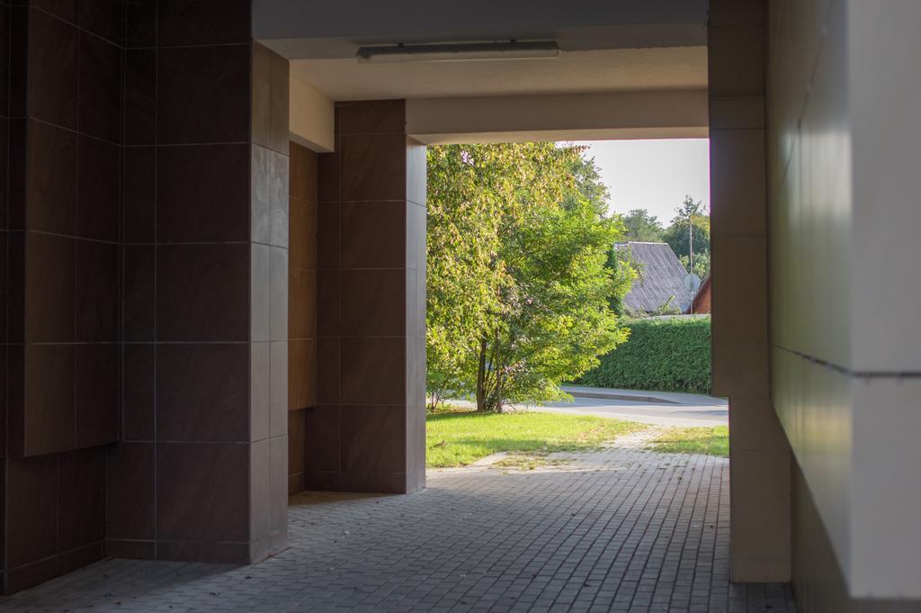 Snow Apartment Druskininkai Ngoại thất bức ảnh